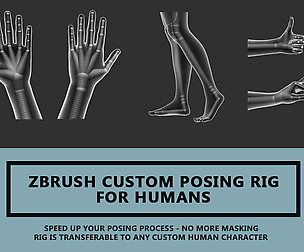 Zbrush Custom Posing Rig Tool For Humans Version 2