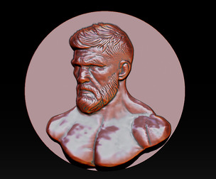 MMA and UFC portrait relief model