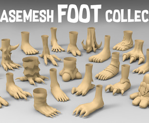 25 Basemesh foot collection