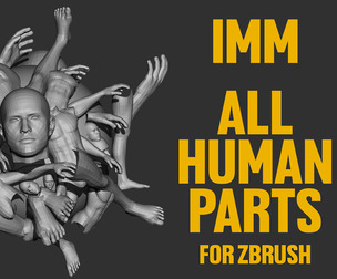 IMM - Insert human parts brush for zbrush