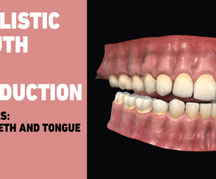 Teeth for production - With Gum, teeth and tongue