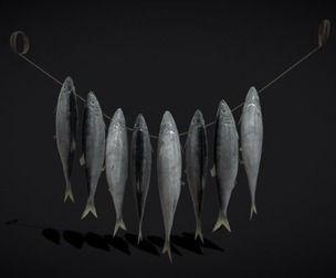 Hanging Herring Fish