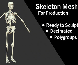 Skeleton mesh - 3D model