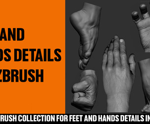 Feet and hands details for zbrush