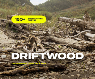 EP54 / Driftwood — photo reference pack