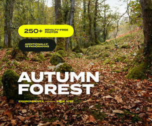 EP57 / Autumn Forest — photo reference pack