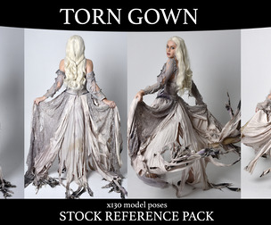 Torn Gown - Pose Reference Pack