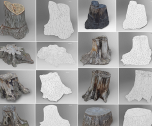 Tree Trunks 1