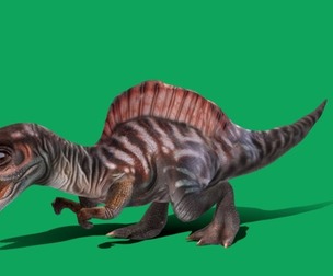 Spinosaurus Baby Dinosaur