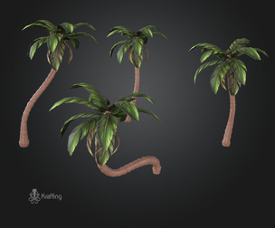 Palm