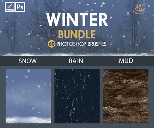 Winter Photoshop Brushes Bundle