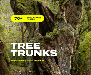 EP58 / Tree Trunks — FREE photo reference pack