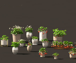 Fragaria - woodland strawberry 01