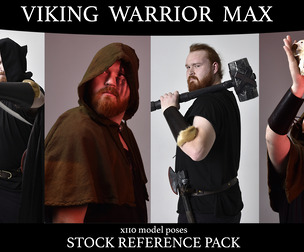 Viking Warrior Max - Stock Model Reference Pack
