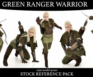 Green Ranger Warrior - Stock Model Reference Pack