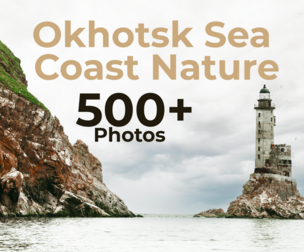 500+ Nature Of The Okhotsk Sea Coast