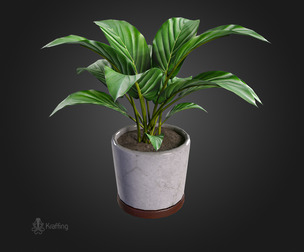 Plant V3