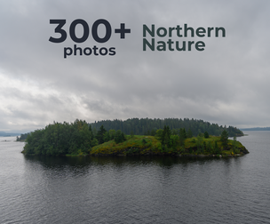 Northern Nature - Reference Pictures