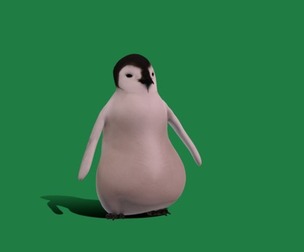 Emperor Penguin Chick