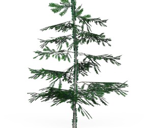 Low Poly Pine Tree 01