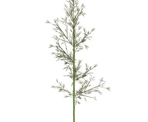 Realistic Low Poly Bamboo 01