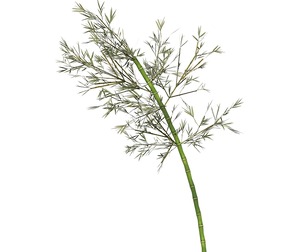 Realistic Low Poly Bamboo 04