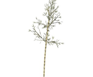 Realistic Low Poly Bamboo 08