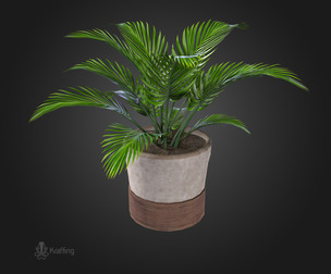 Plant V5