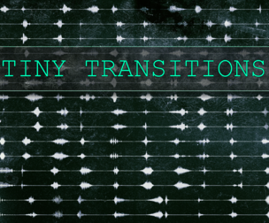 TINY TRANSITIONS