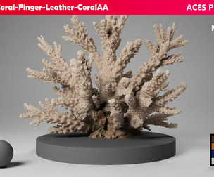 HQ Assets Coral Finger Leather CoralAA Arnold