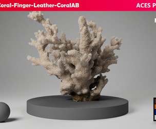 HQ Assets Coral Finger Leather CoralAB Arnold