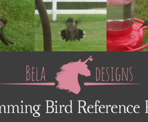 Bela designs' Free Humming Bird Reference Pack