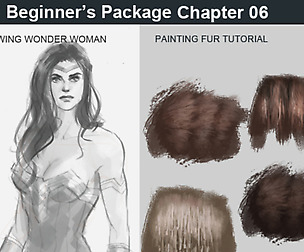 Beginner Chapter 6