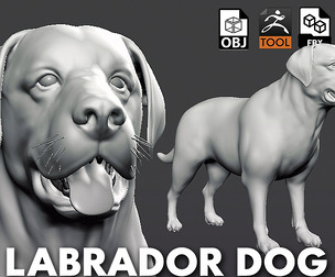 Labrador Dog - Topology + UV Map