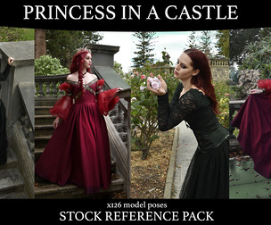 Princess in a Castle - Stock Model Reference Pack