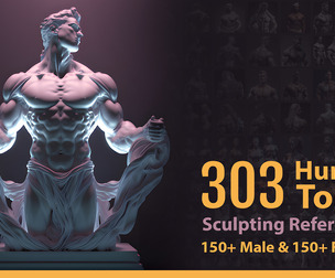 303 human torso Sculpting references