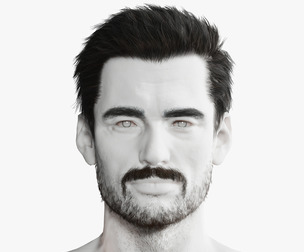 Realistic Hair Beard brows mustache p1
