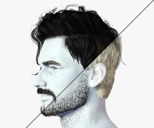 Realistic Hair Beard brows mustache p6