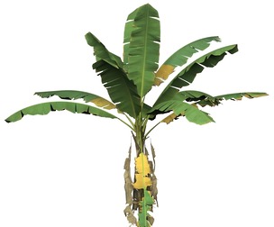 Game Ready Tree 01