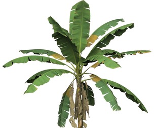 Game Ready Tree 02