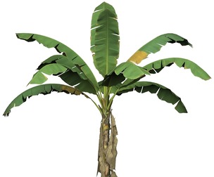 Game Ready Tree 03