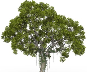 Game Ready Tree 06