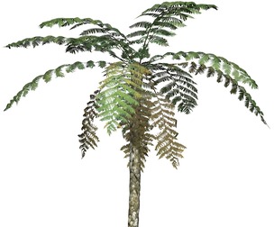 Game Ready Tree 08