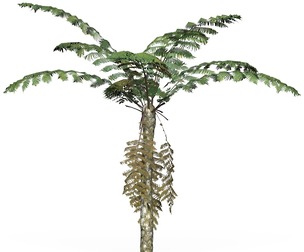 Game Ready Tree 09
