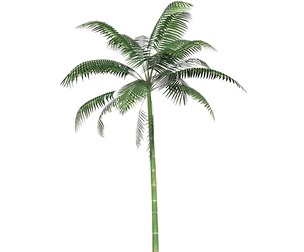 Game Ready Tree 10