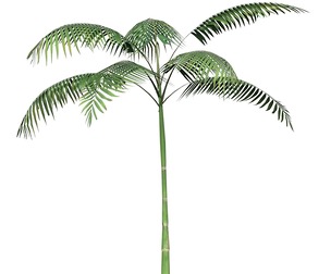 Game Ready Tree 12