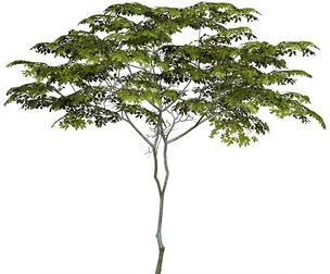 Game Ready Tree 13