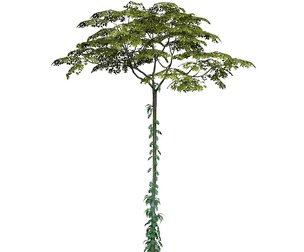 Game Ready Tree 17