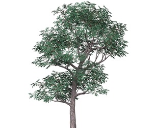 Game Ready Tree 18