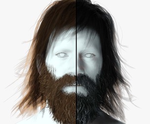 Realistic Hair Beard brows mustache